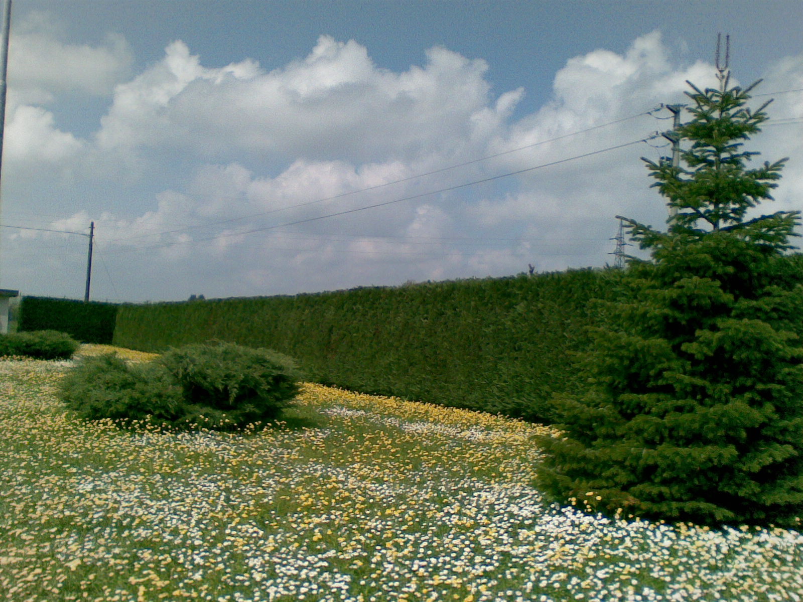 Primavera 2009